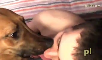 Dog Lick Men Dick Porn - cock