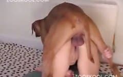 Dog On Girl - dog fucking girl - animal porn search