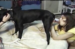 First Time Sucking Dog Cock