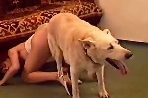 By dog fucked Animal Porn