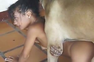 Xxx Love Saxcy Video Girl And Dog - Animal Zoo Porn - zoo porn content and animal porn sex videos.