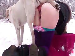 Dog Fucks Girl Porn - Animal Sex mania - animal porn tube : sex with horse, dog ...
