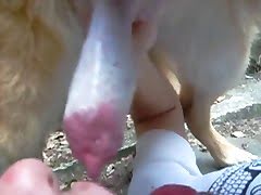 Porn video for tag : Brunette milf sucks dog dick