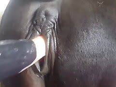 Dirty zoophilic guy has sex with a cute pony-->Грязный 