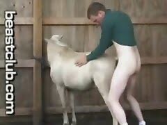 Video animal fuck Sex With