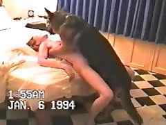 240px x 180px - Animal porn - dog sex, horse sex, zoo sex, beastiality porn ...