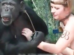 Joint caress of a big monkey and a girl