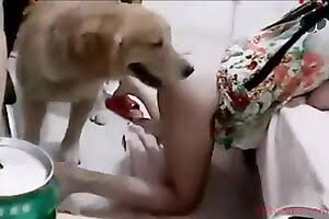 dog-porn, zoo-fuck