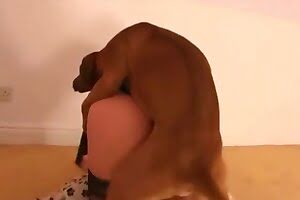doggy-porn , girl