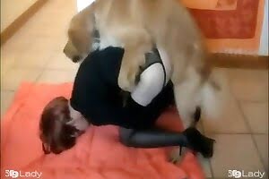 By girl dog fuck Beastiality Amateur