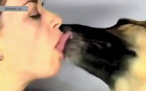 วิดีโอเซ็กซ์กับสัตว์, เซ็กซ์กับหมา โป๊