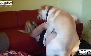 sex with dog porn, sex with animals videos