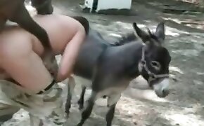 donkey, videos with beastiality