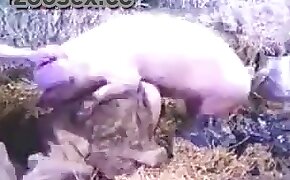 girls playing with animals, beastiality sex free videos