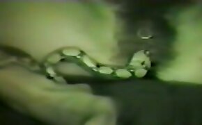 sex with animals videos, zoophile and snake orgy