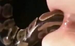 動物のビデオとのセックス, 動物園とヘビの乱交