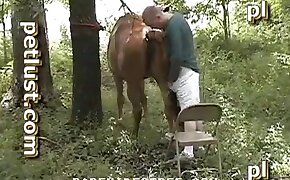 zoophil fucks mare, animal fucking with slut
