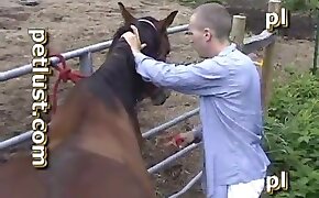 horse porn videos, gay animal sex videos