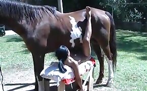 zoophilia with blowjob, horse porn videos
