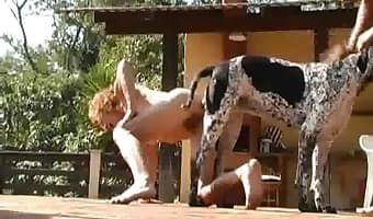huge amateur-dog-sex