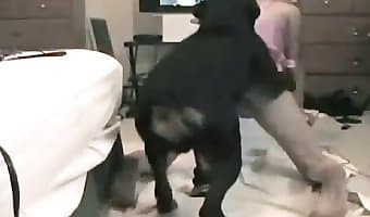 webcam amateur-dog-sex