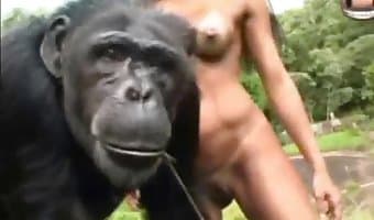 Xxx Video Monkey Woman - monkey sex with brasilian girls