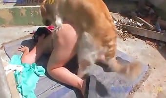 amateur-dog-sex dog-licks-girls-pussy
