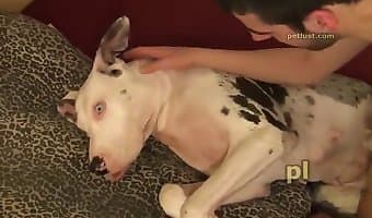 Raj Wep Com Animalas - Animal Sex Porn Tube. Best bestiality zoo sex video content on the net!