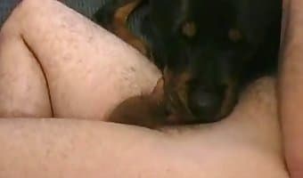 beastporn amateur-dog-sex
