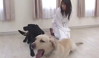 zoosex japanese-dog-sex
