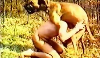 3 Gp King Animals Sex - Horny gay animal sex action with a hot doggy