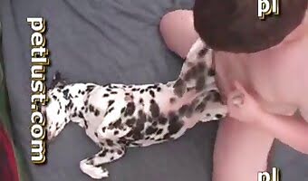 amateur-dog-sex impaled