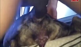 zoosex amateur-dog-sex