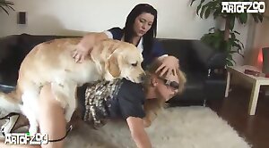 fodendo cachorro,sexo canino