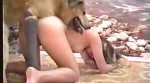 pasji seks,jebanje psov