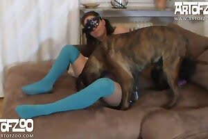 koiran seksiä,tyttö eläinten kanssa