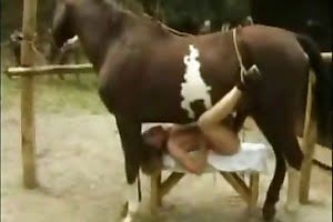 bestiality,horse porn