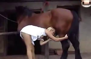 horse-sex XXX - most wanted horse-sex xxx videos.