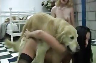 doggy porn,babes zoophiles