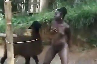 farm porn,animal sex videos