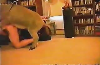 passionate animal porn,pet sex videos