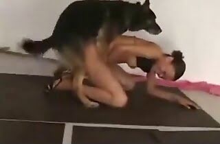 animal sex videos,sex with animals