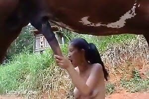 horse porn,blowjob