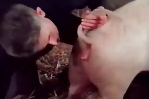 świnia,zoofilia porno