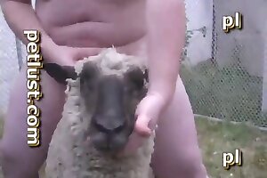 živalski porno,bestialnost