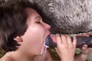 порно с животными,Оральный секс со скотиной