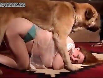 dog-sex-videos