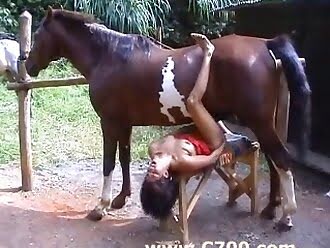 horse-porn