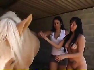 Horse Cum Eater Porn - Horse cum eater
