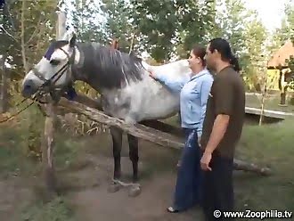 Animallpass Women Horse Man Zoo Sex Org